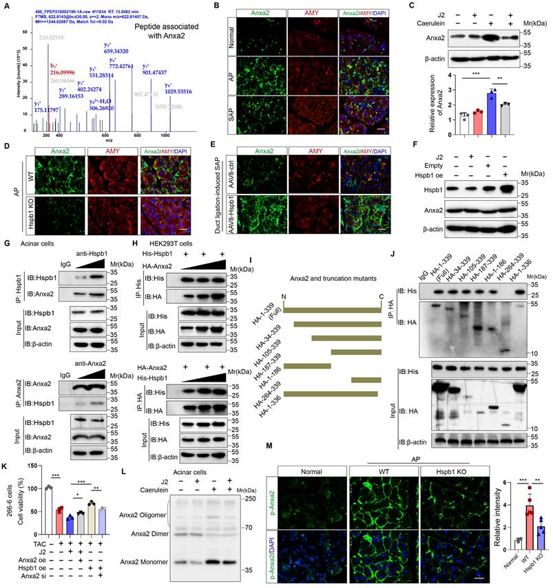 Int J Biol Sci Image