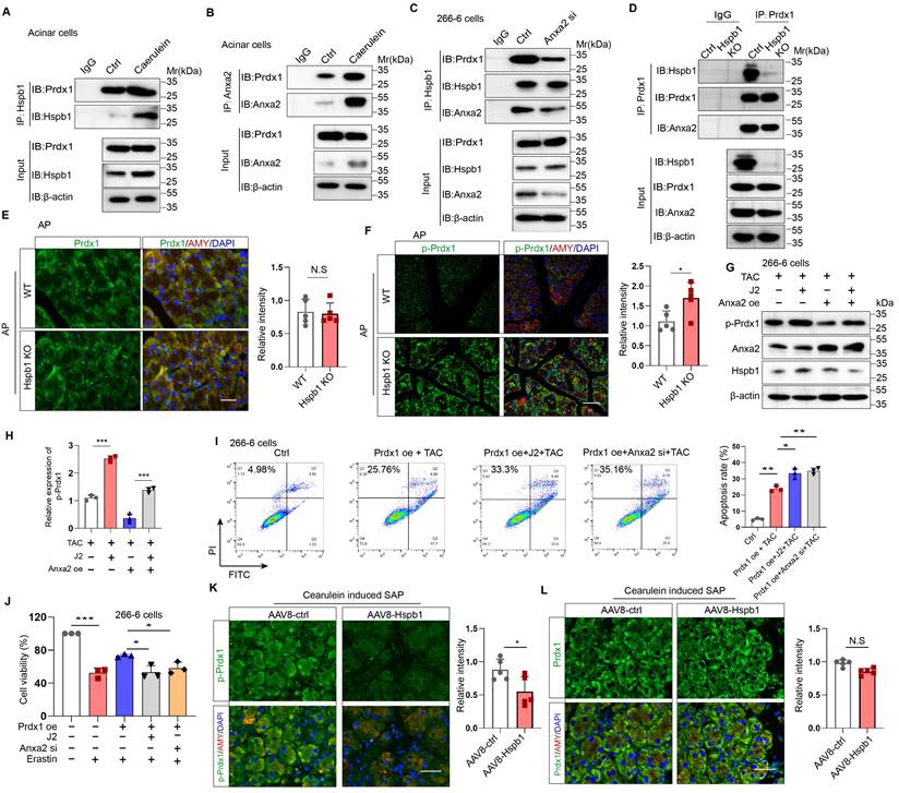 Int J Biol Sci Image