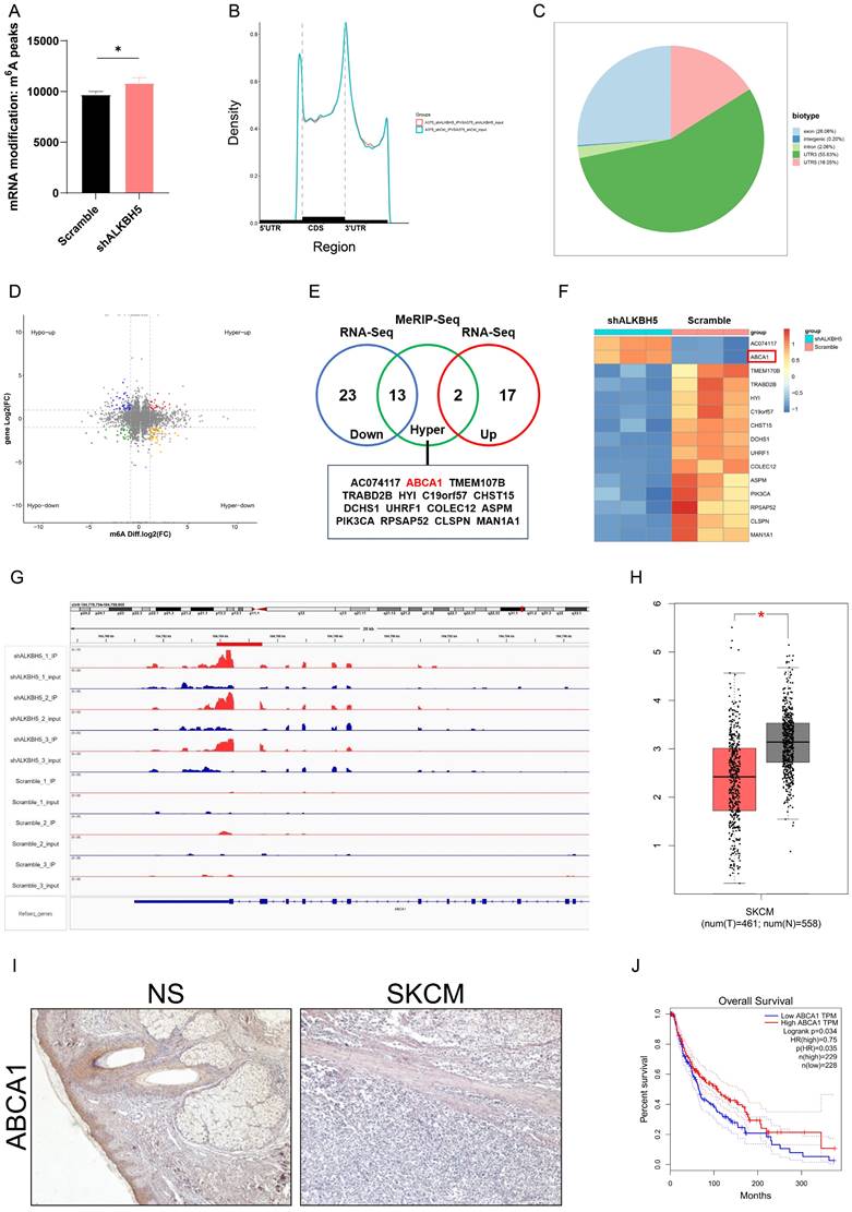 Int J Biol Sci Image