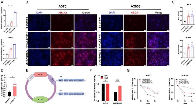 Int J Biol Sci Image