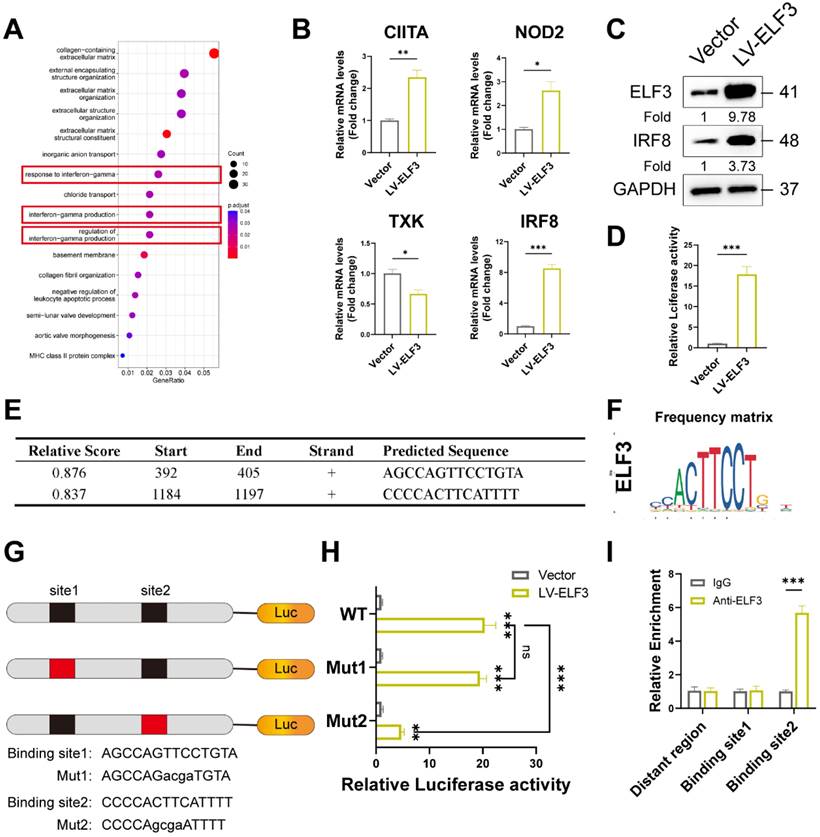 Int J Biol Sci Image