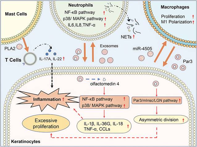 Int J Biol Sci Image