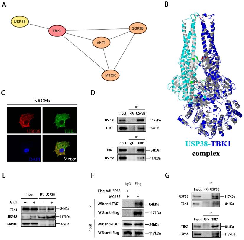 Int J Biol Sci Image