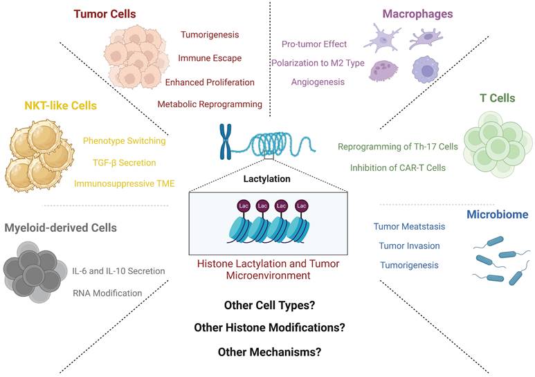 Int J Biol Sci Image