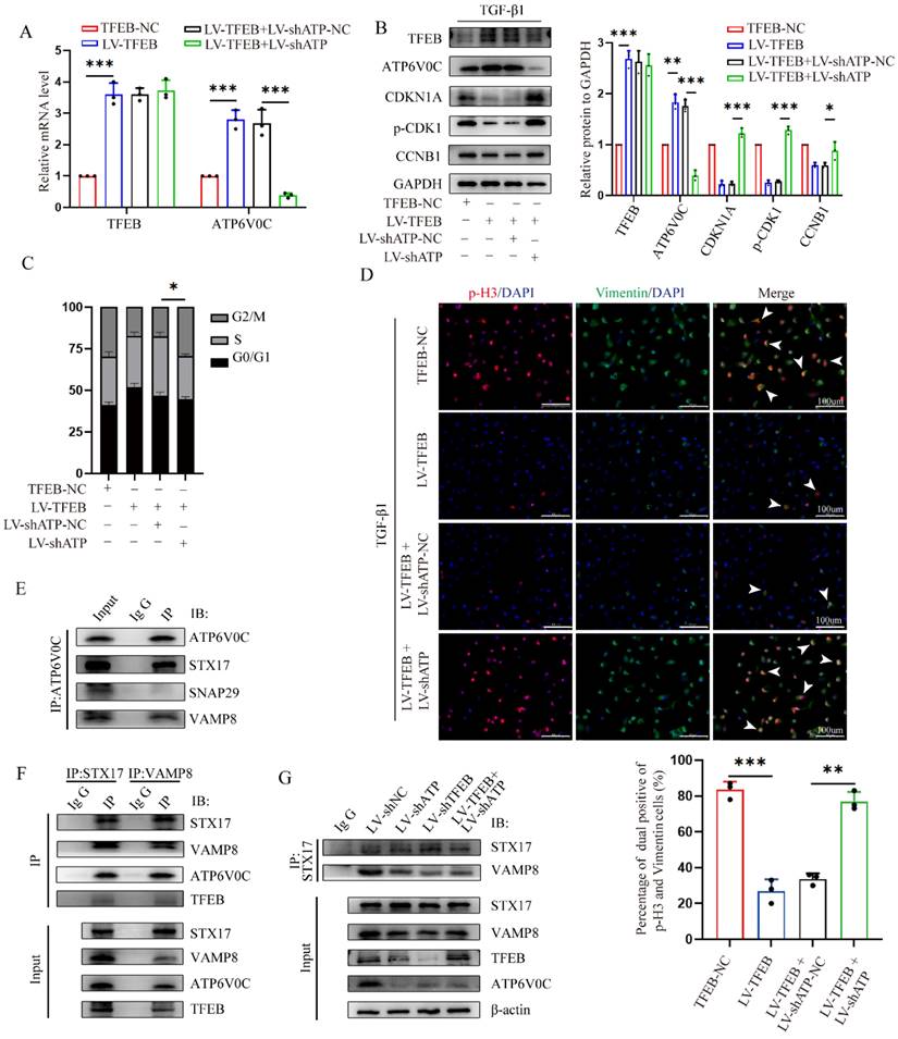 Int J Biol Sci Image