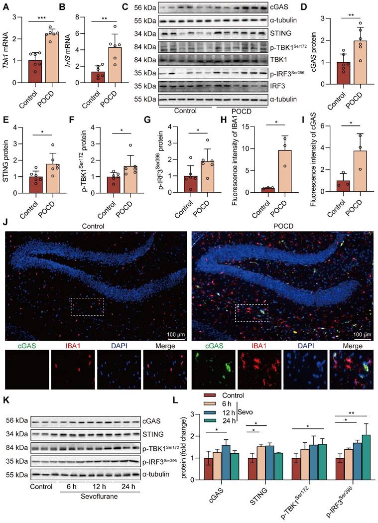 Int J Biol Sci Image