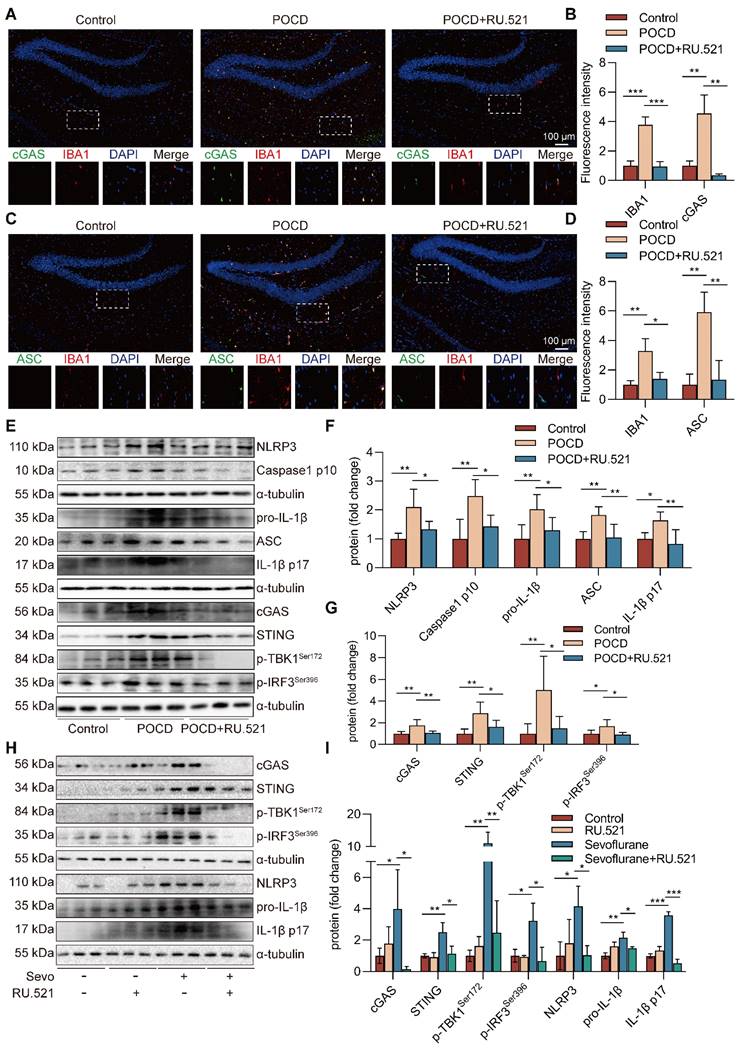 Int J Biol Sci Image