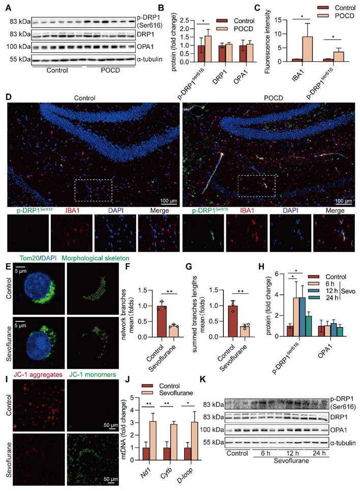 Int J Biol Sci Image