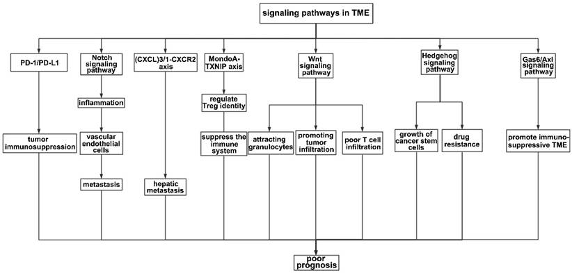 Int J Biol Sci Image