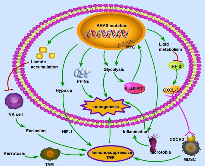 Int J Biol Sci Image