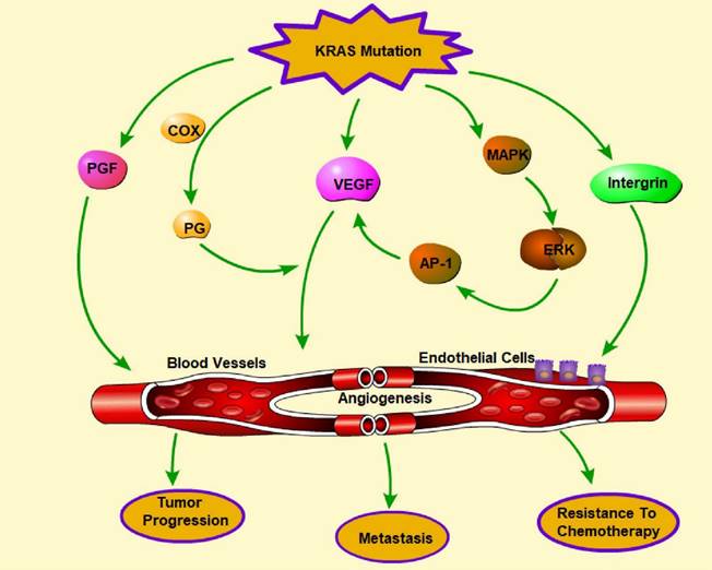 Int J Biol Sci Image