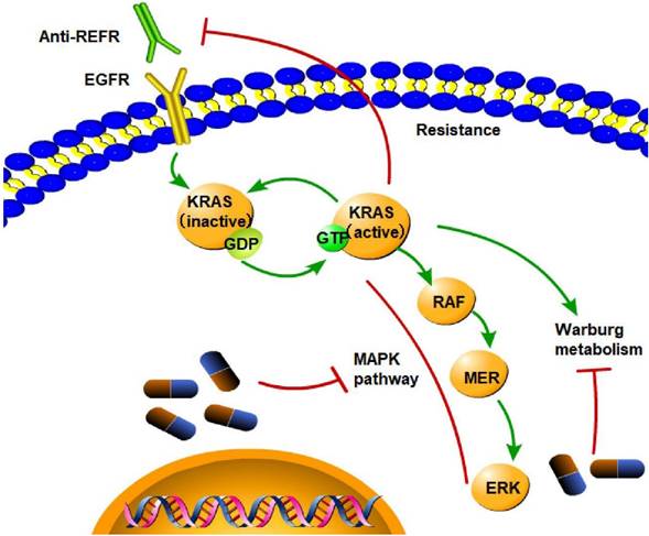 Int J Biol Sci Image