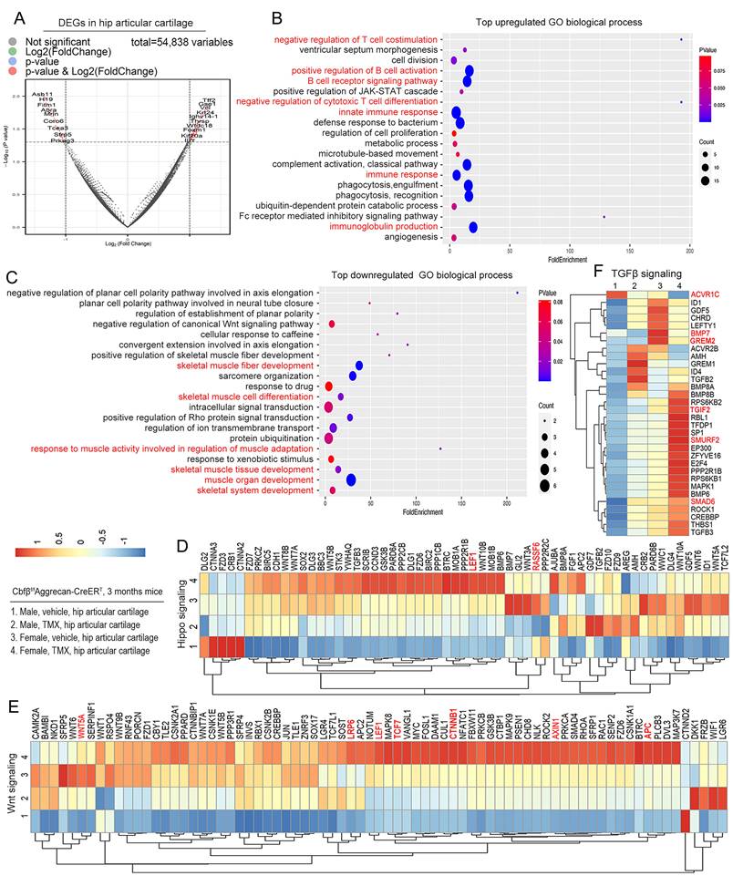 Int J Biol Sci Image