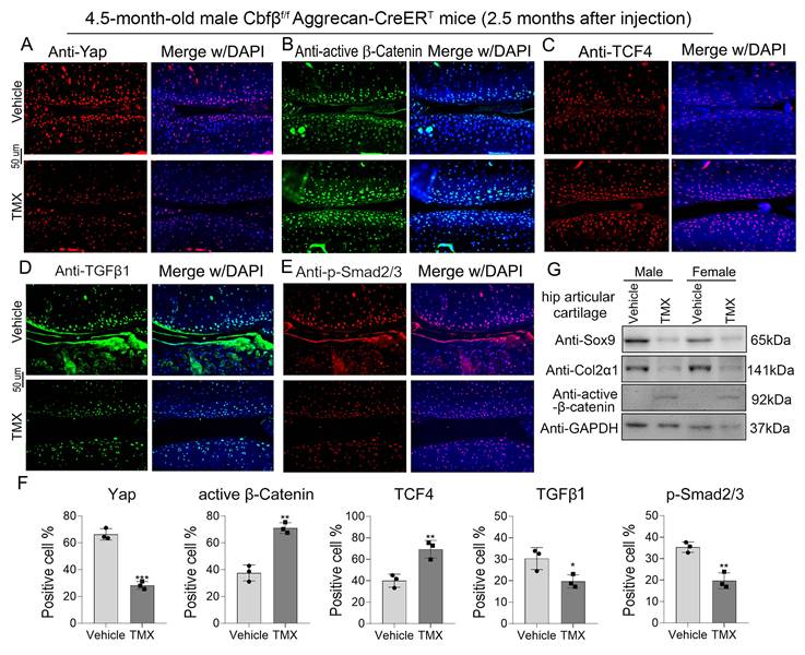 Int J Biol Sci Image