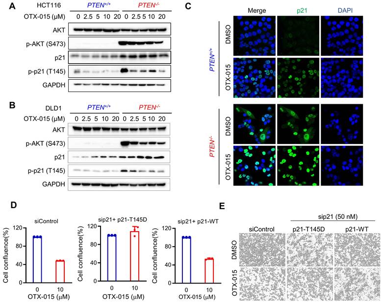 Int J Biol Sci Image