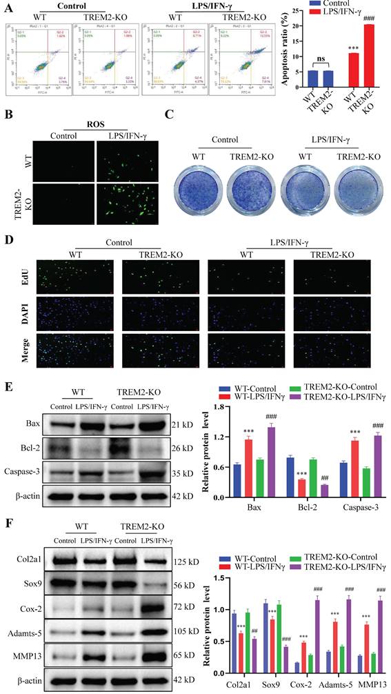 Int J Biol Sci Image