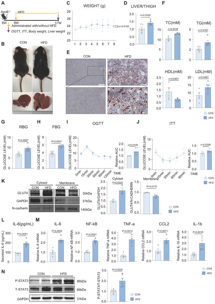 Int J Biol Sci Image