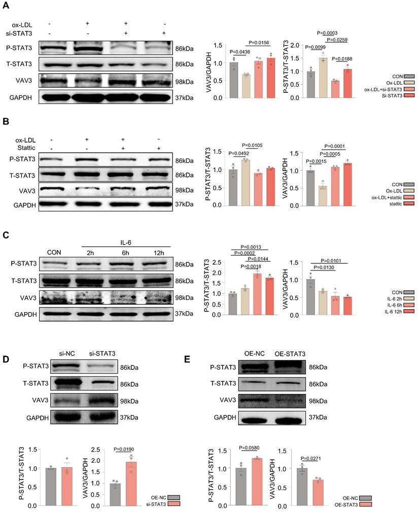 Int J Biol Sci Image