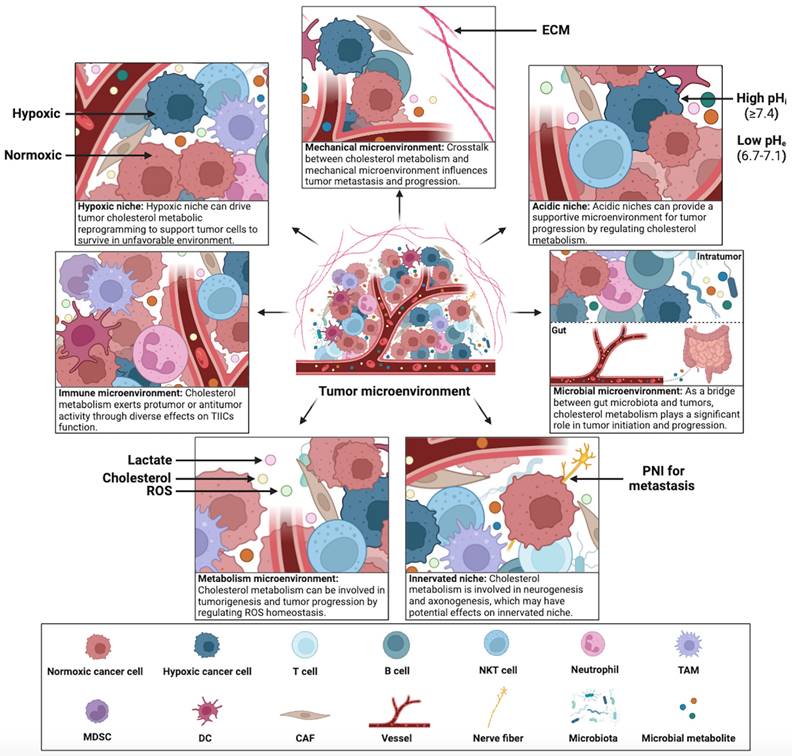 Int J Biol Sci Image