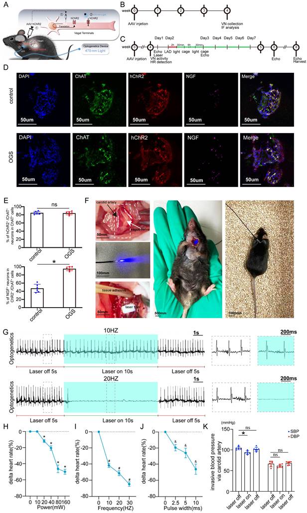 Int J Biol Sci Image