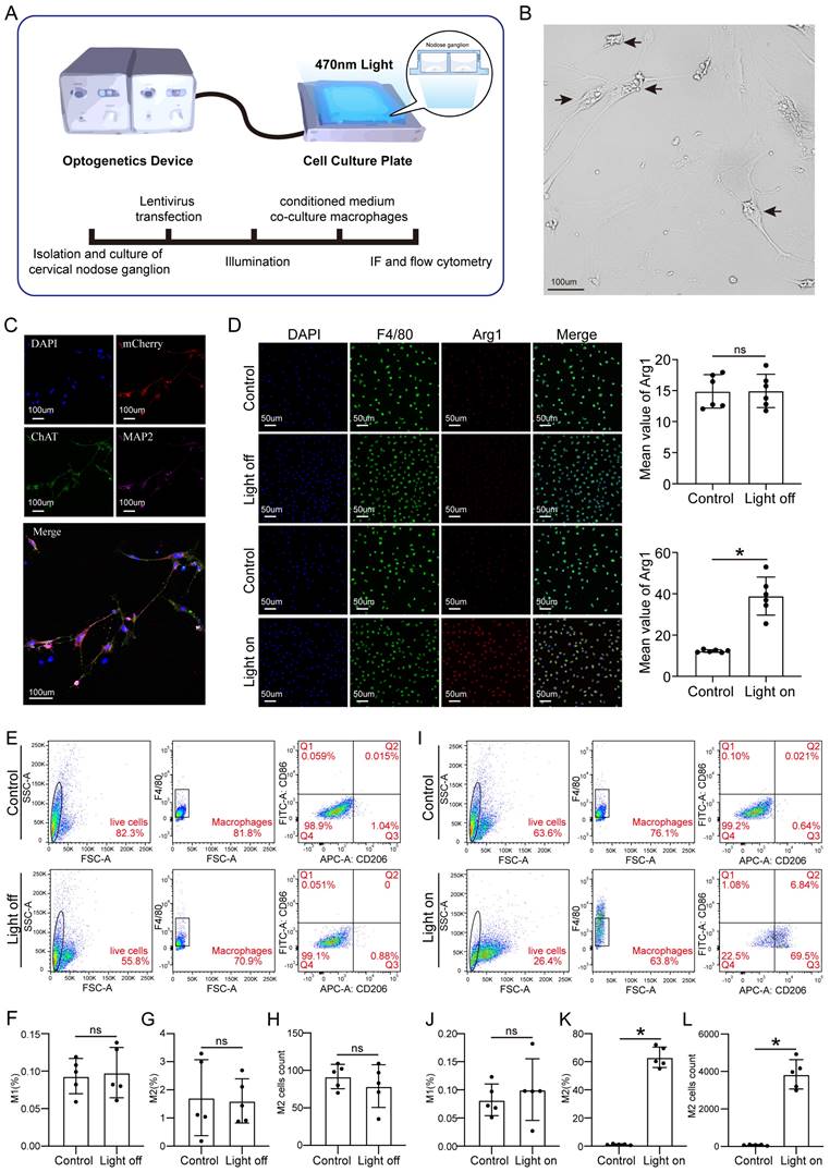 Int J Biol Sci Image