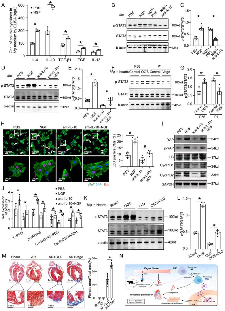 Int J Biol Sci Image