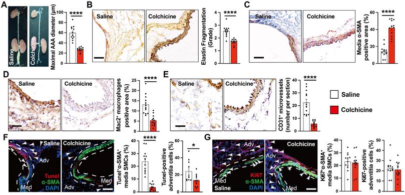 Int J Biol Sci Image