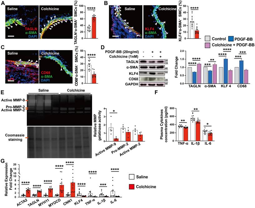 Int J Biol Sci Image