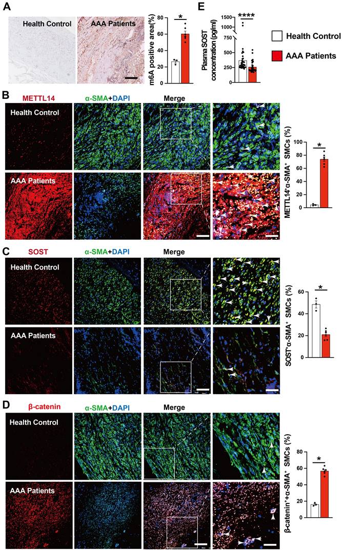 Int J Biol Sci Image