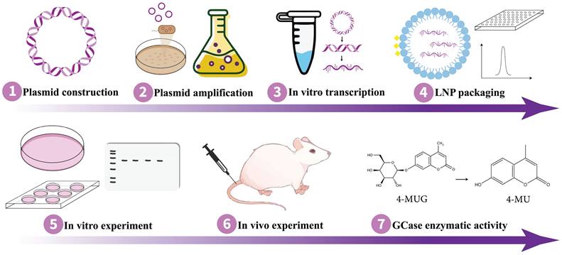 Int J Biol Sci Image