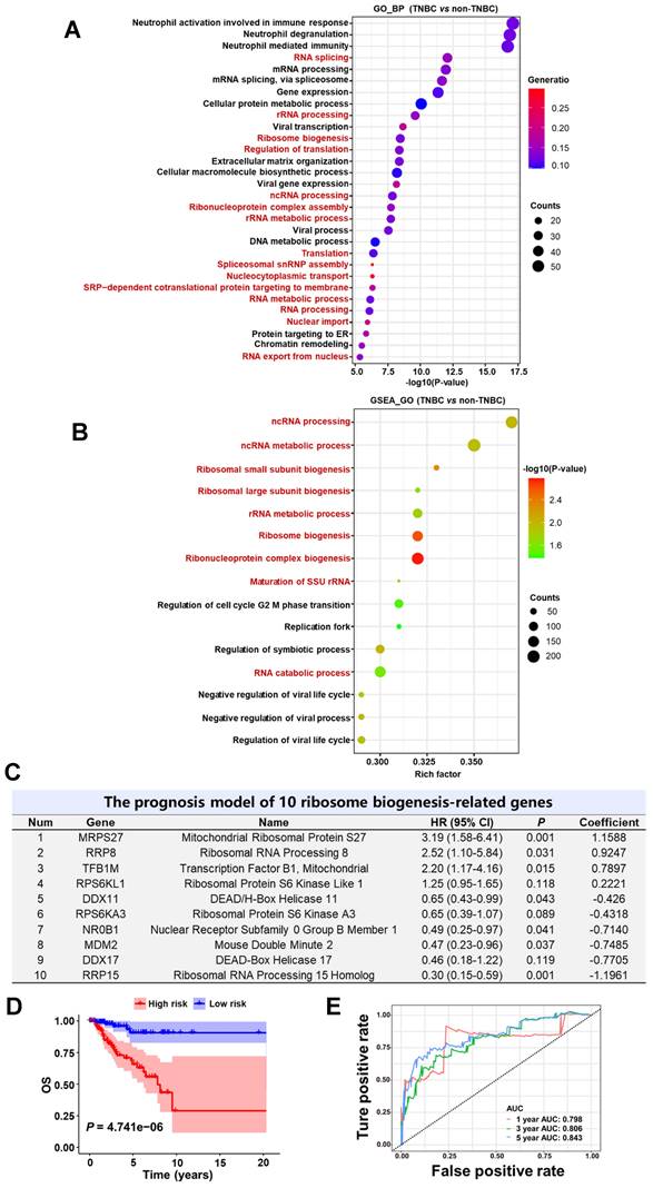 Int J Biol Sci Image