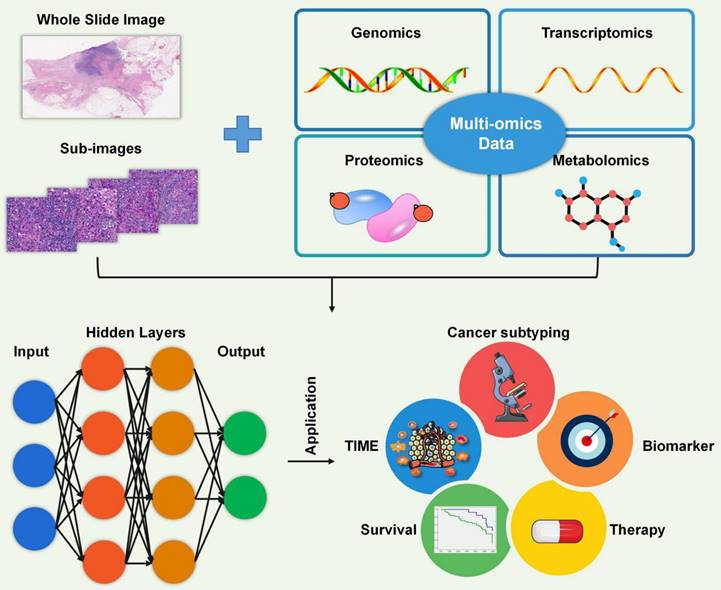 Int J Biol Sci Image