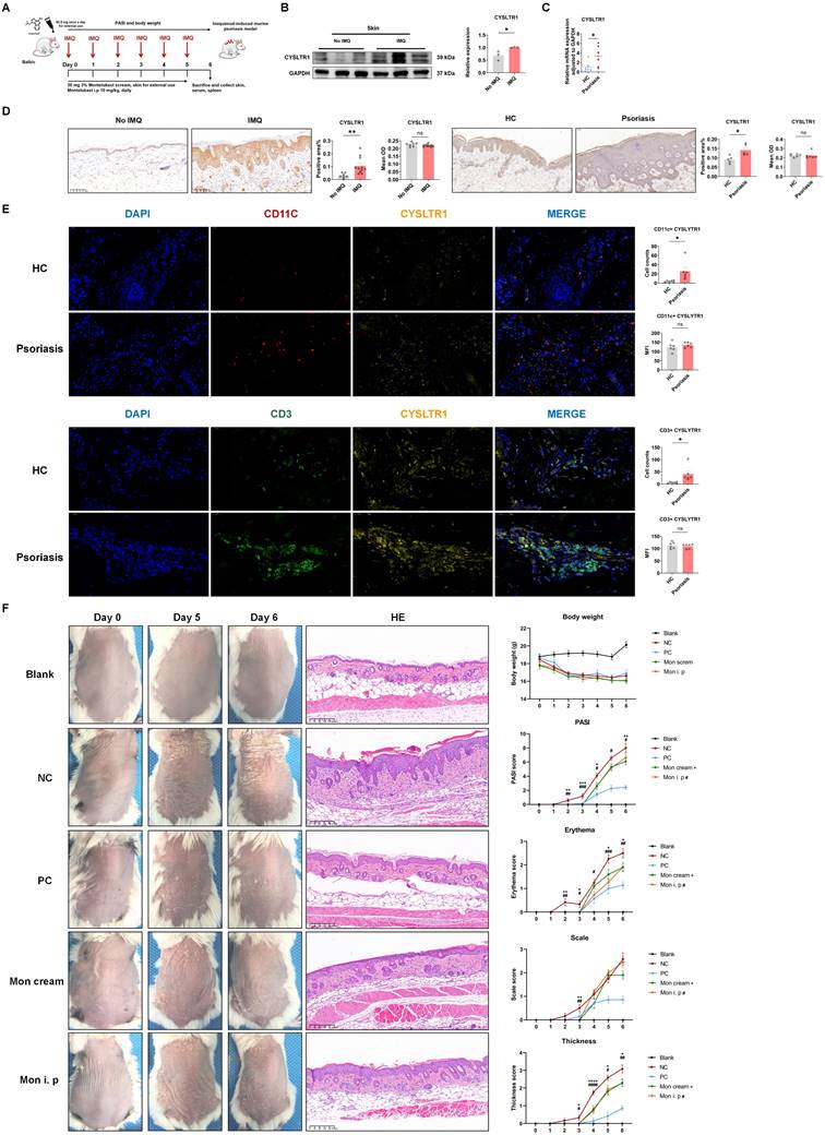 Int J Biol Sci Image