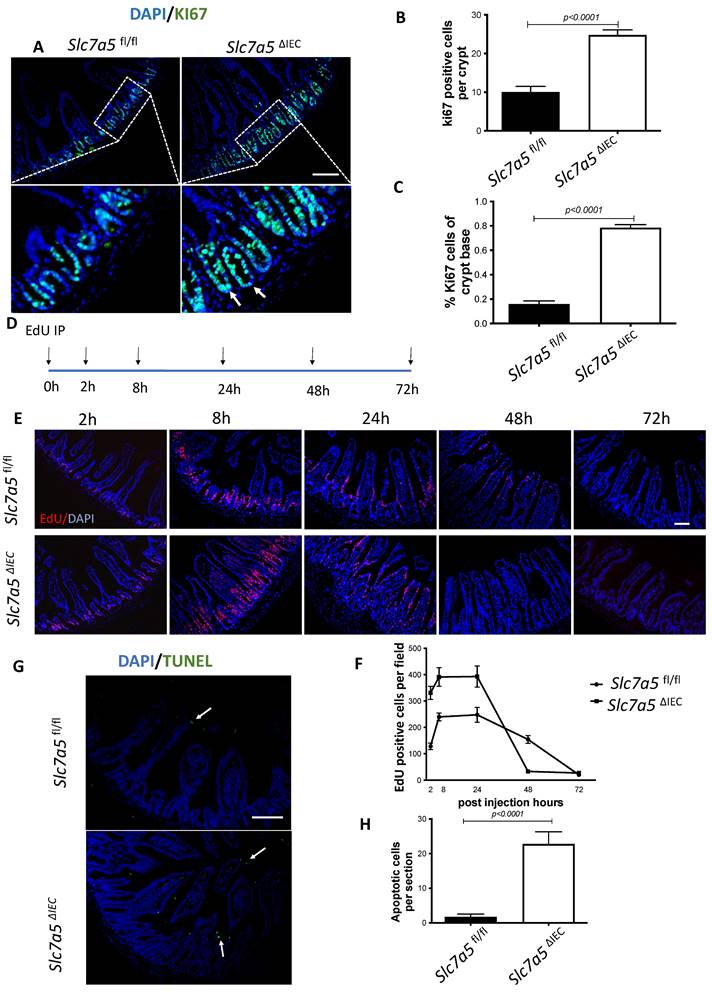 Int J Biol Sci Image