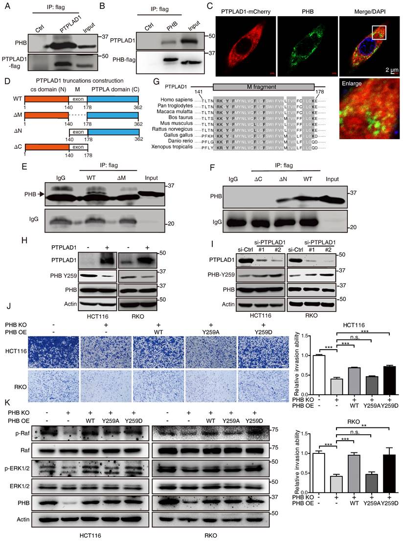 Int J Biol Sci Image