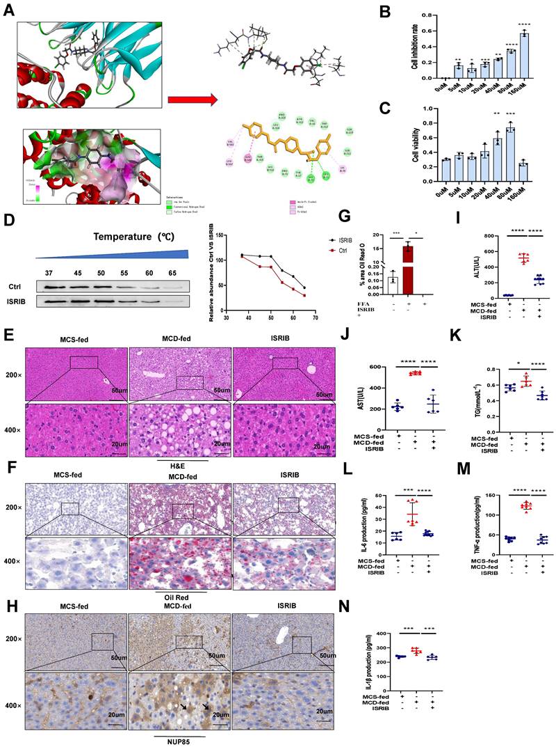 Int J Biol Sci Image