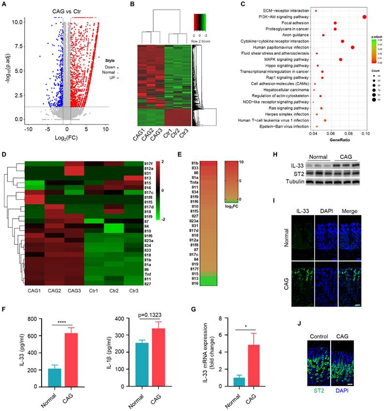 Int J Biol Sci Image