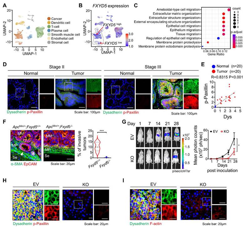 Int J Biol Sci Image