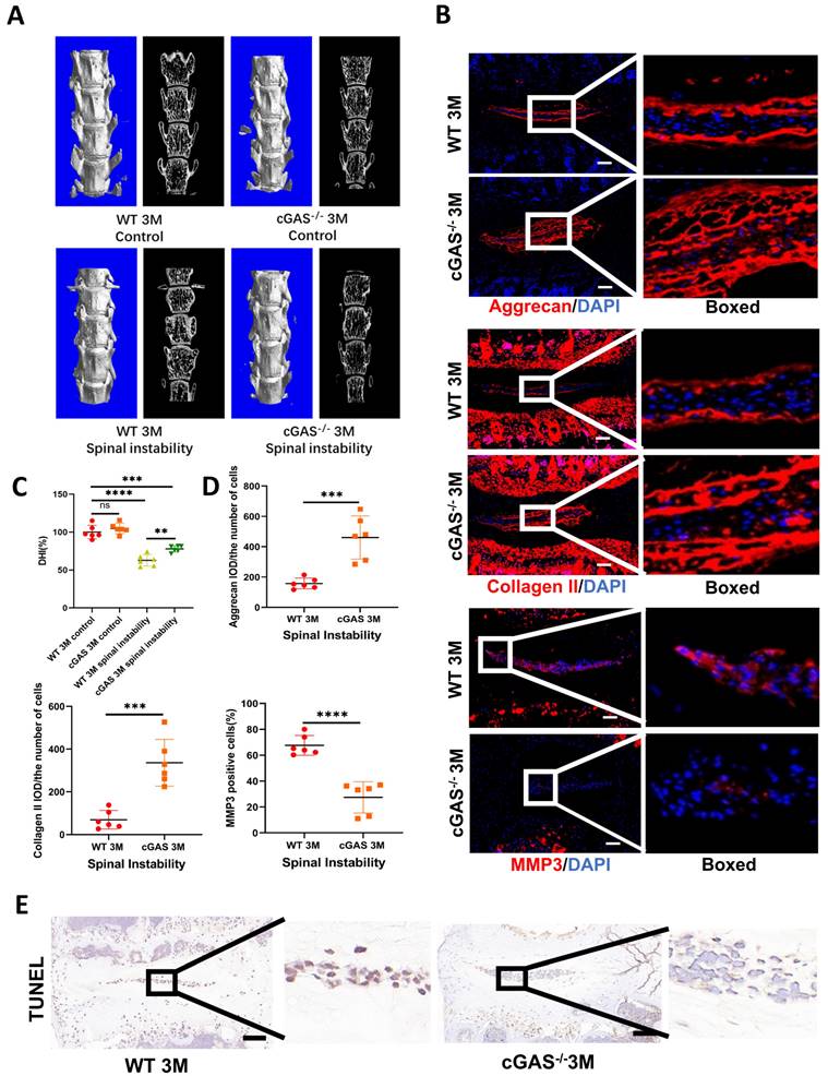 Int J Biol Sci Image