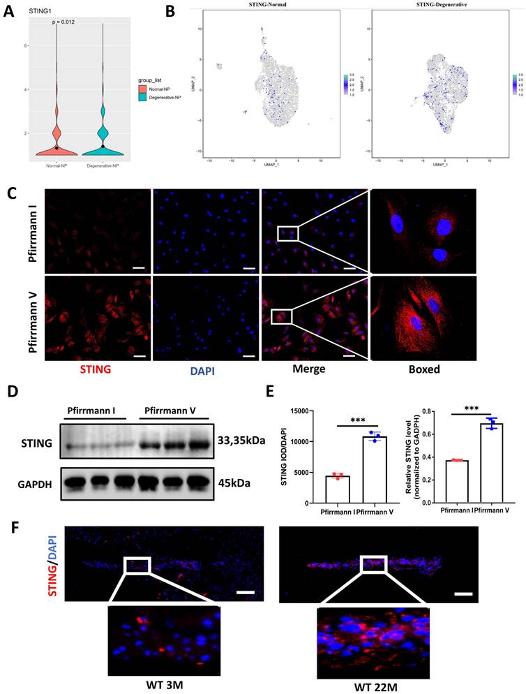 Int J Biol Sci Image