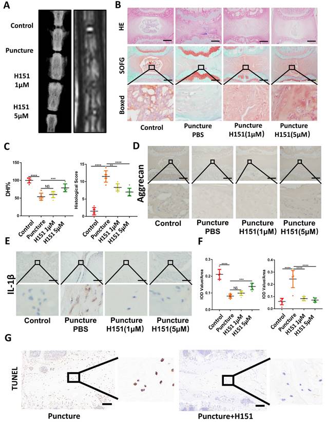 Int J Biol Sci Image