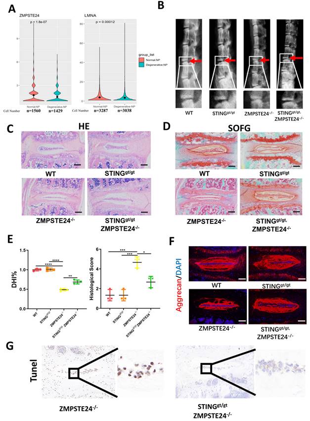 Int J Biol Sci Image