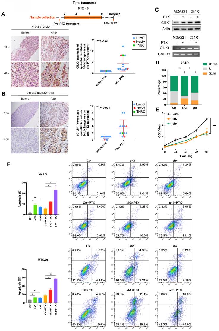 Int J Biol Sci Image