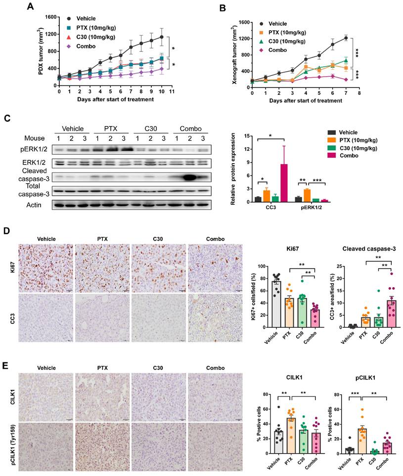 Int J Biol Sci Image