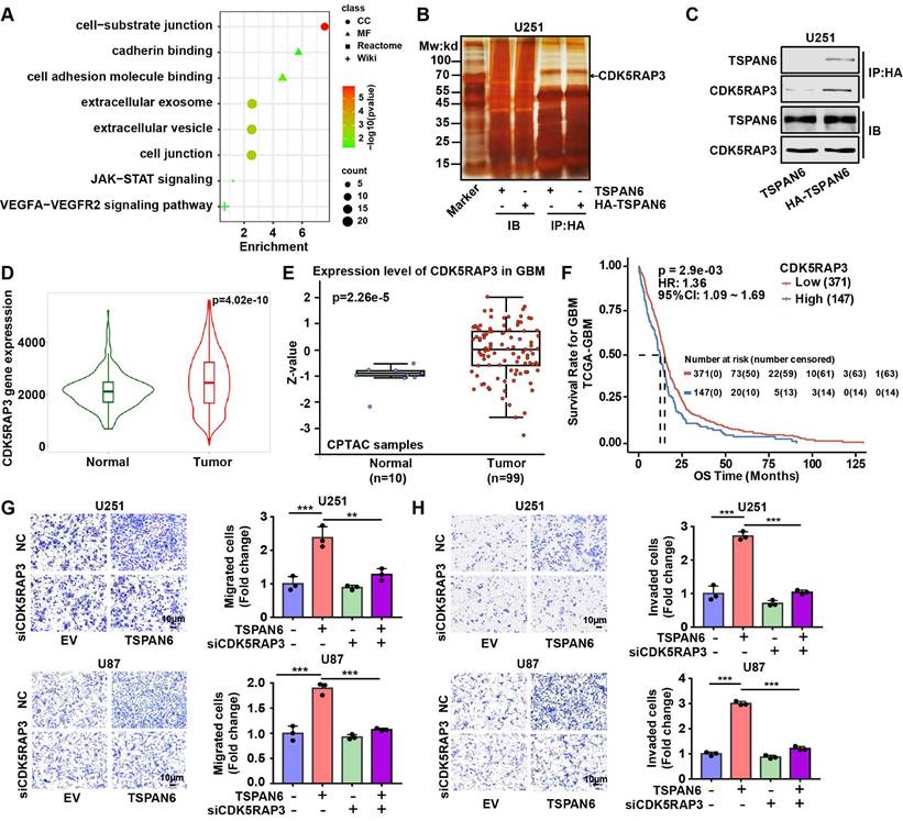 Int J Biol Sci Image