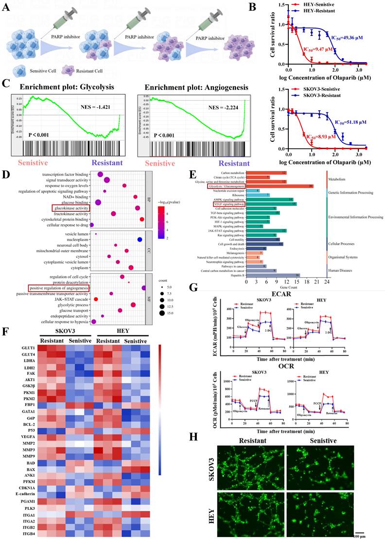 Int J Biol Sci Image