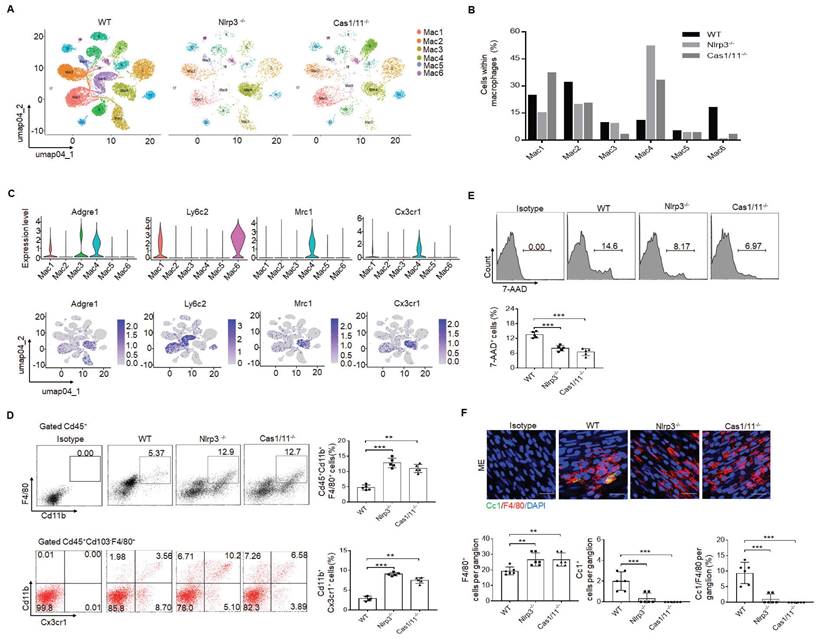 Int J Biol Sci Image