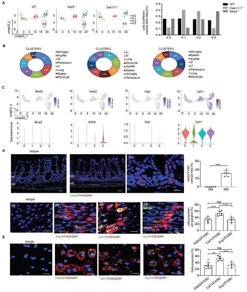 Int J Biol Sci Image