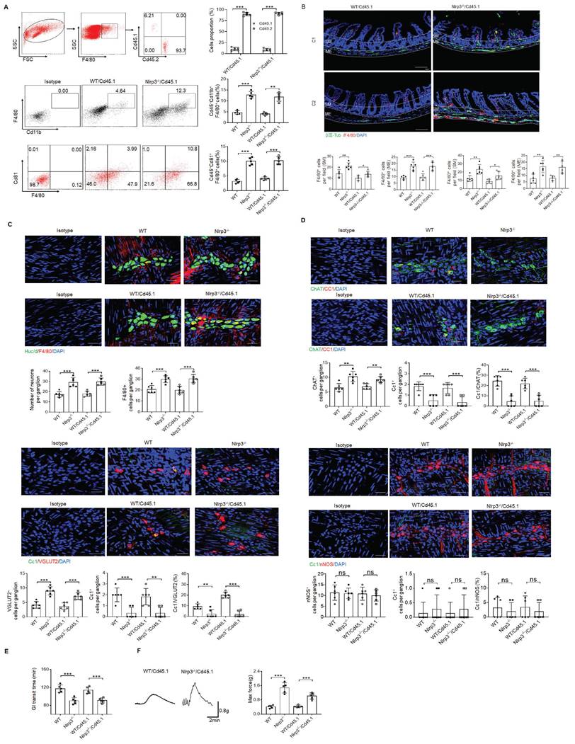 Int J Biol Sci Image