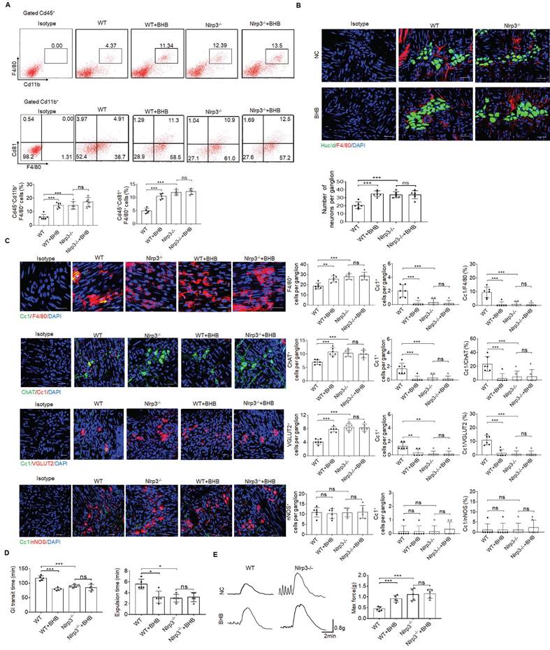 Int J Biol Sci Image